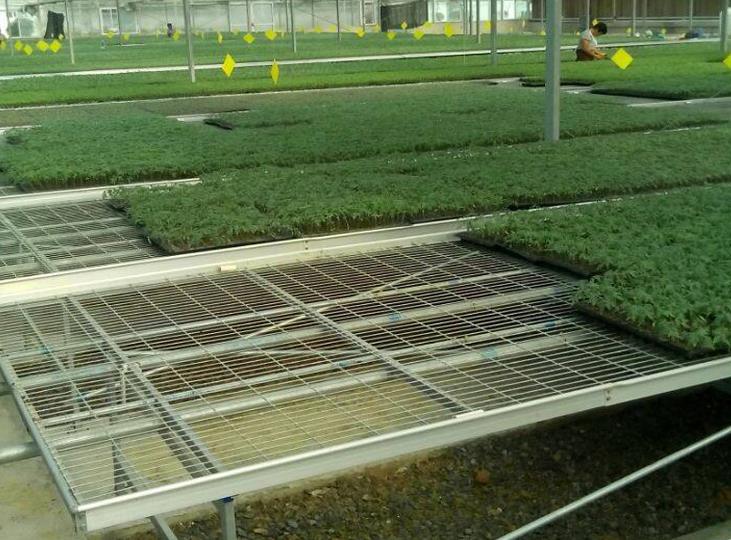 <a href='http://www.huanjuyijia.cn/miaochuangsheshi/199.html'target='_blank'>育苗床</a>.jpg